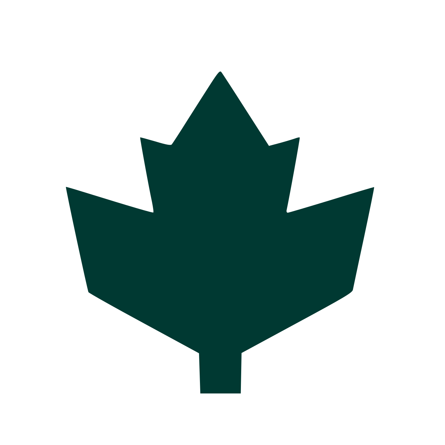 Maple Leaf Bold Logo #003932