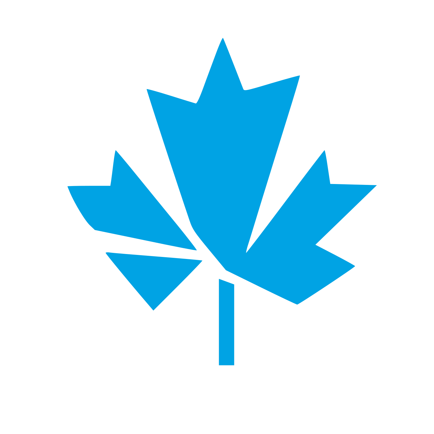 Maple Leaf Stem Logo #00a3e4