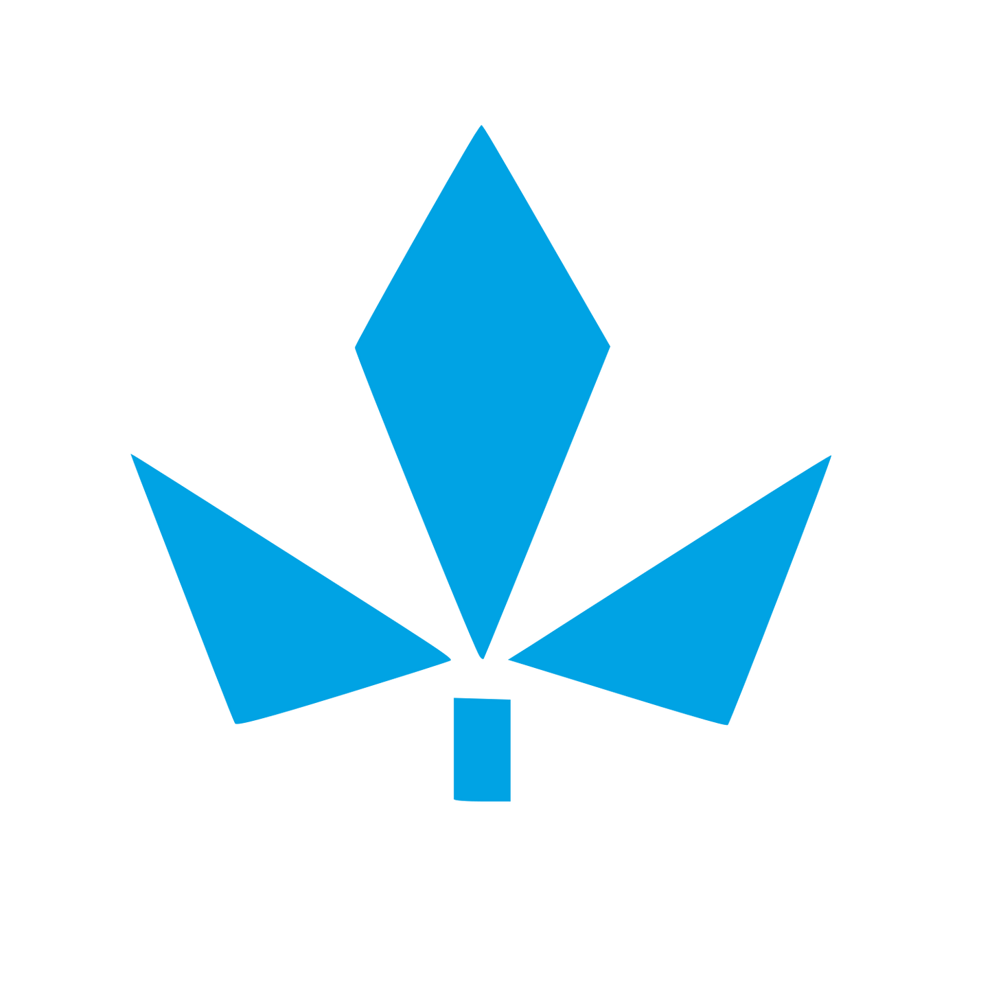Modernist Maple Leaf Logo #00a3e4