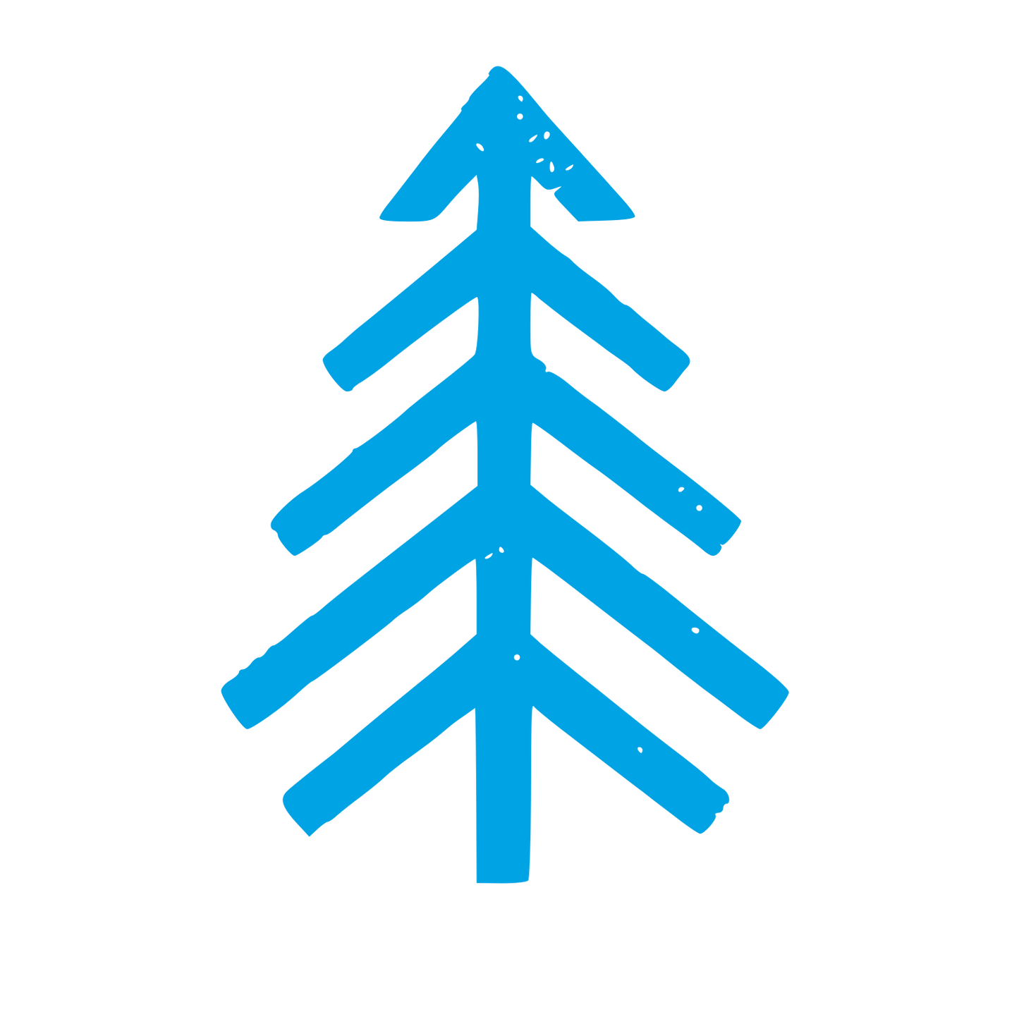 Hand Drawn Pine Tree Logo #00a3e4