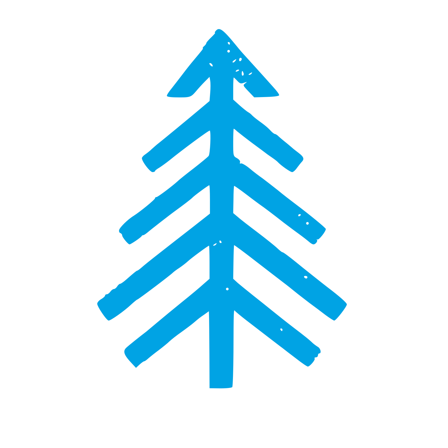 Hand Drawn Pine Tree Logo #00a3e4