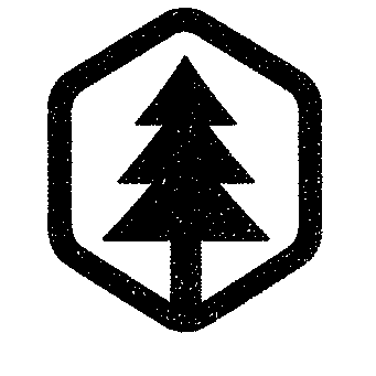 Pine Tree Hexagon Logo