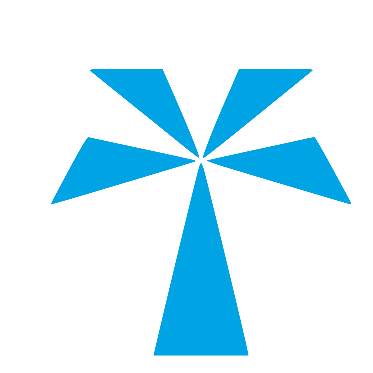 Bold Geometric Palm Tree Logo #00a3e4