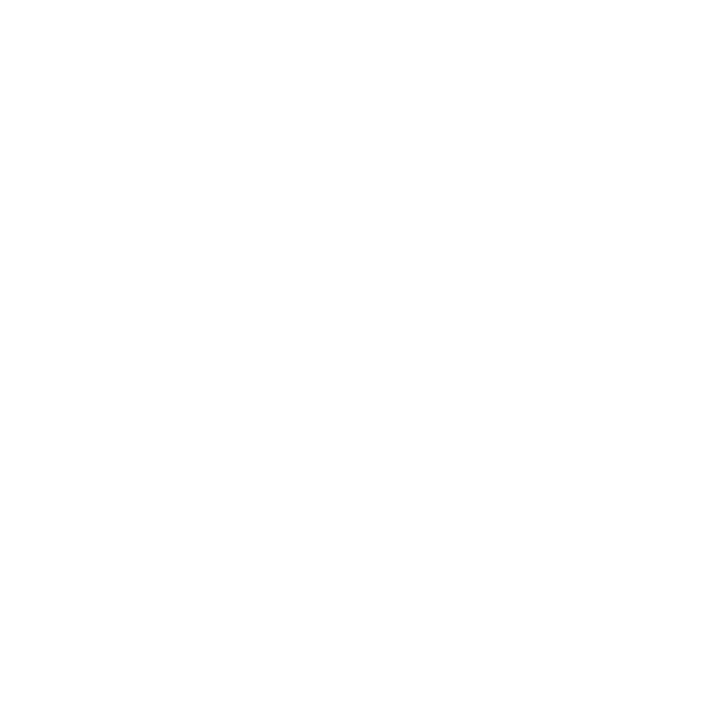 Airplane Compass Badge Logo #ffffff