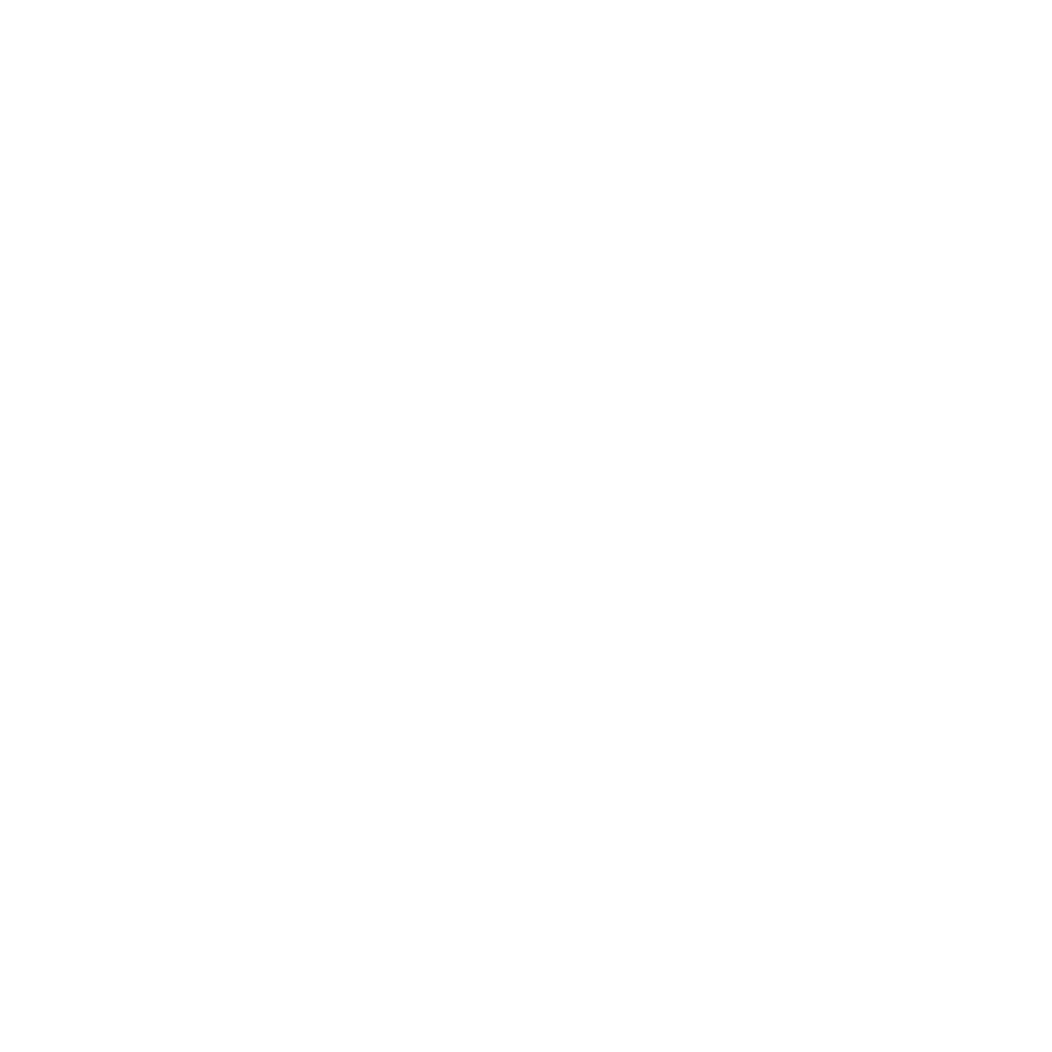 Airplane Compass Badge Logo #ffffff