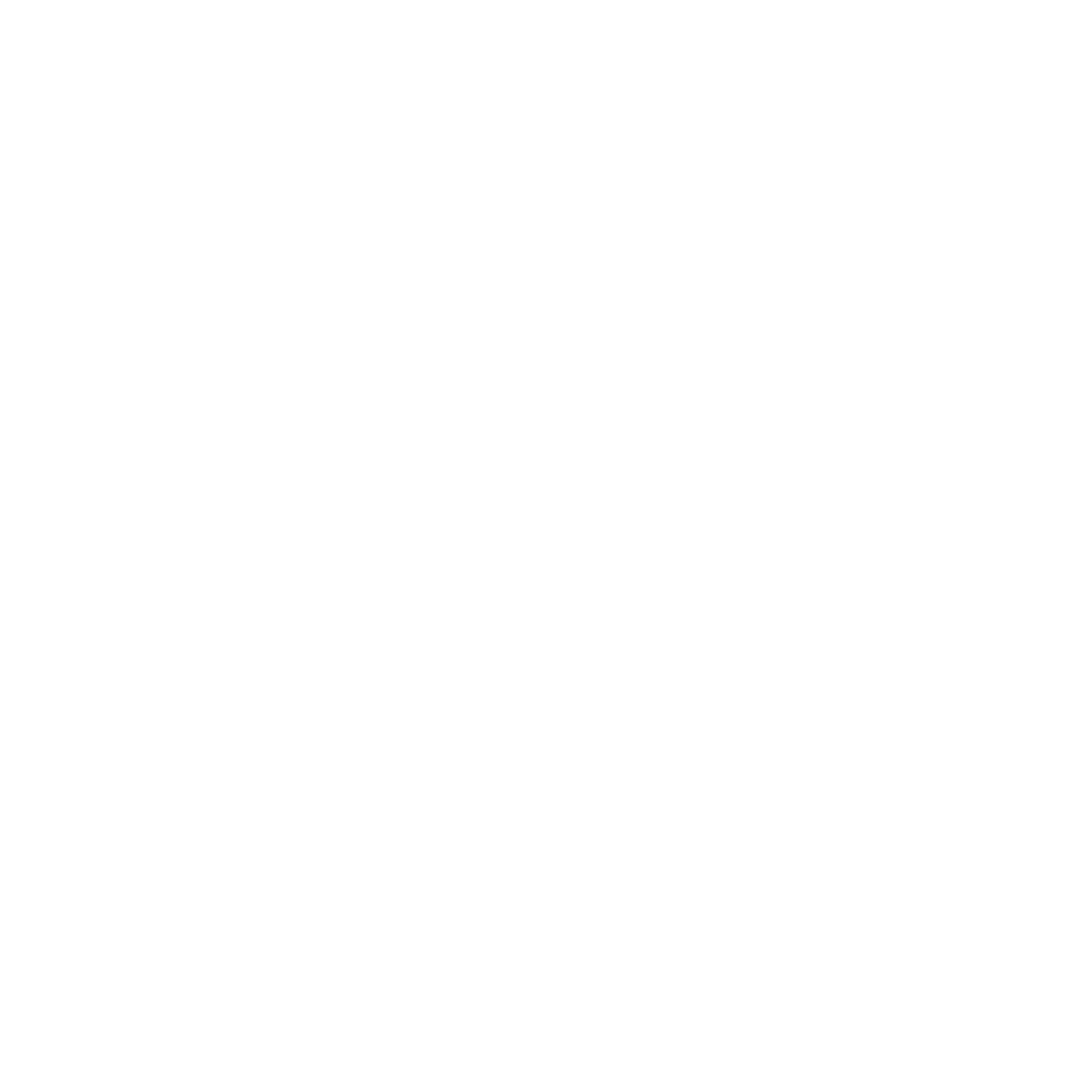 Vintage Biplane Stamp Badge Logo #ffffff