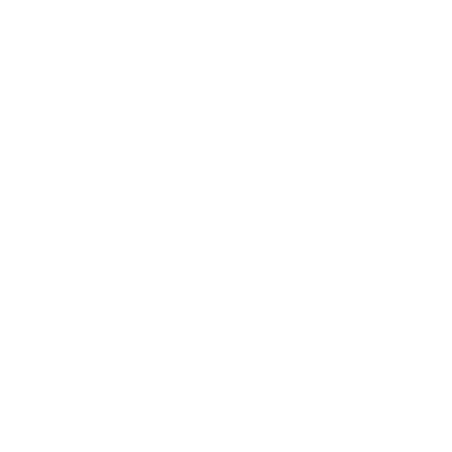 Bauhaus Ship Logo #ffffff