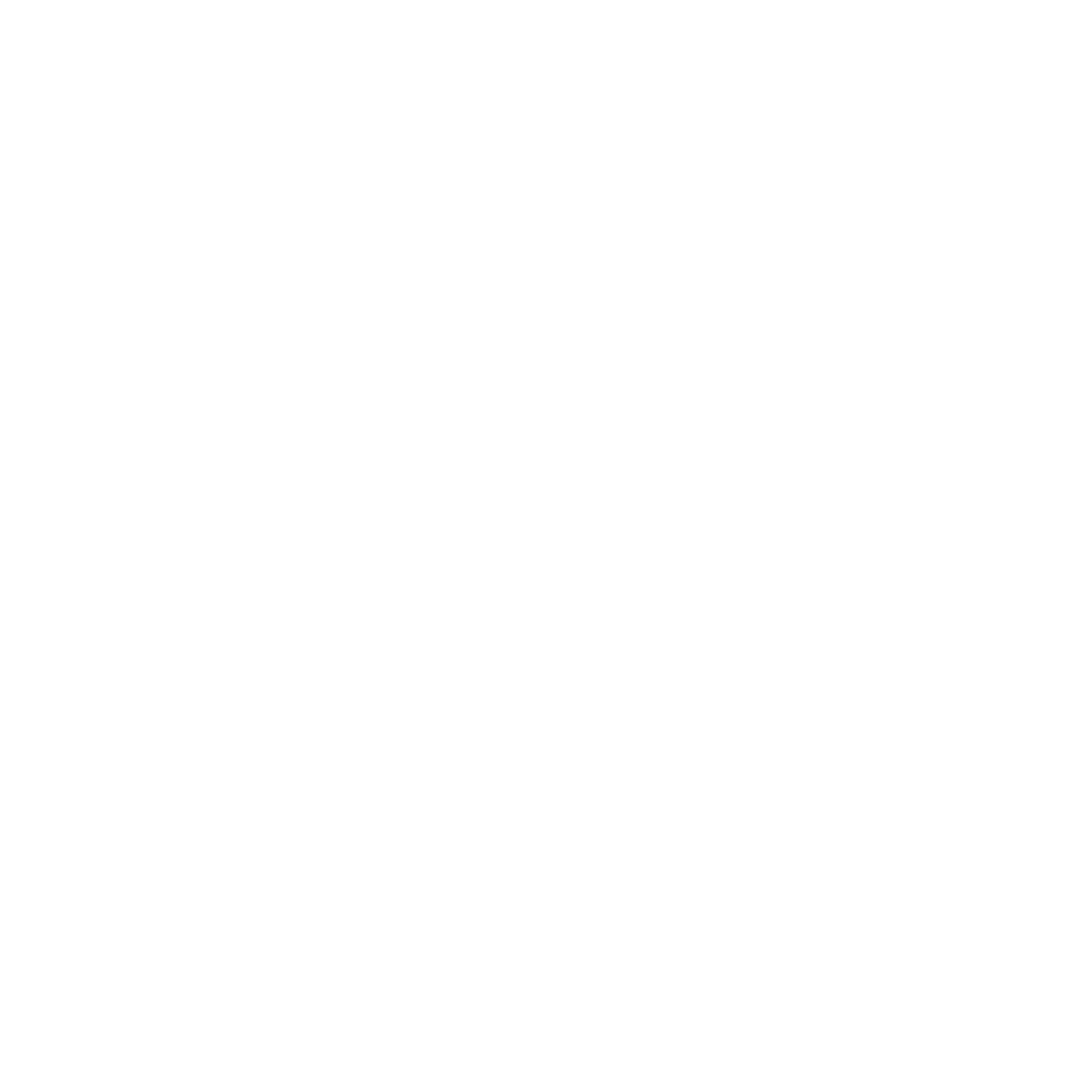 High Speed Train Logo #ffffff