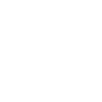 High Speed Train Logo #ffffff
