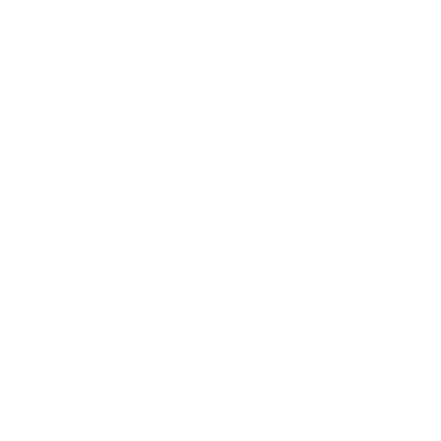 Bauhaus Bear House Logo #ffffff