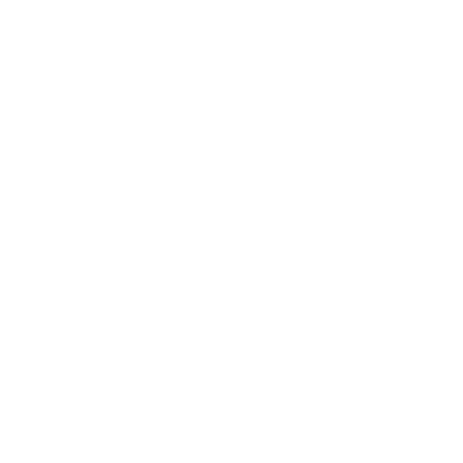 Hand-Drawn Fox Face Logo #ffffff