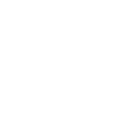 Fox Face Front Logo #ffffff