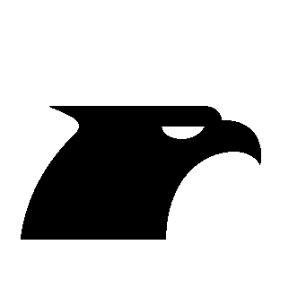 Eagle Head Profile Logo
