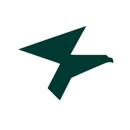 Geometric Eagle Flight Logo #003932