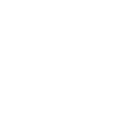 Modernist Eagle Head Logo #ffffff