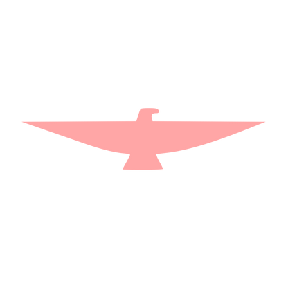 Swooping Eagle Logo #ffa6a6