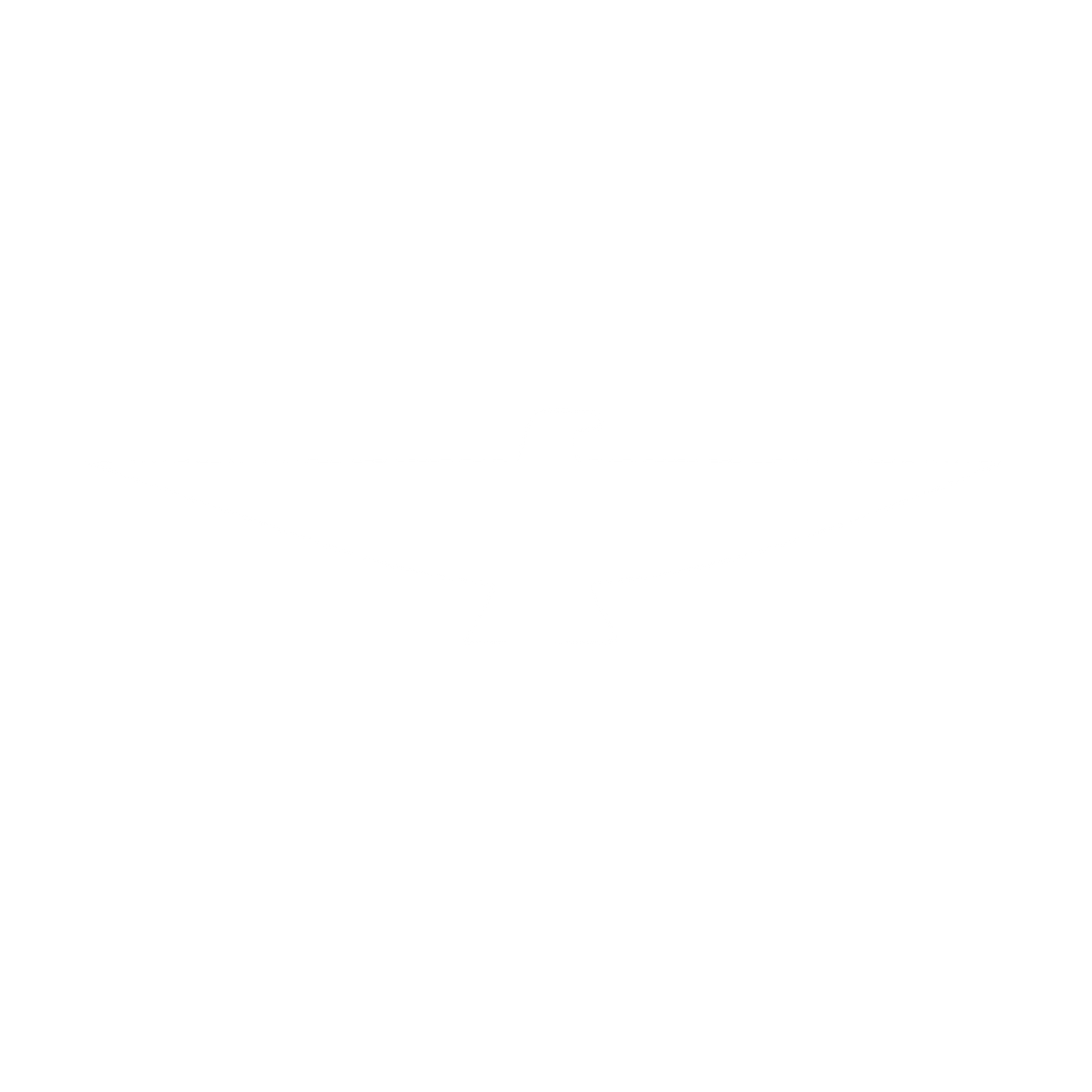 Swooping Eagle Logo #ffffff