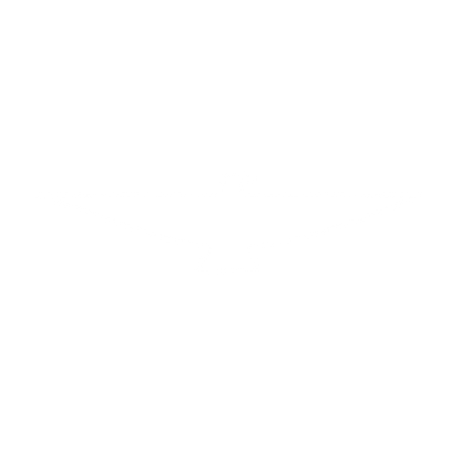 Swooping Eagle Logo #ffffff