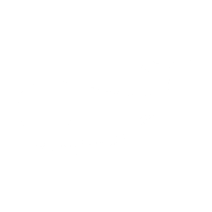 Sperm Whale Silhouette Logo #ffffff