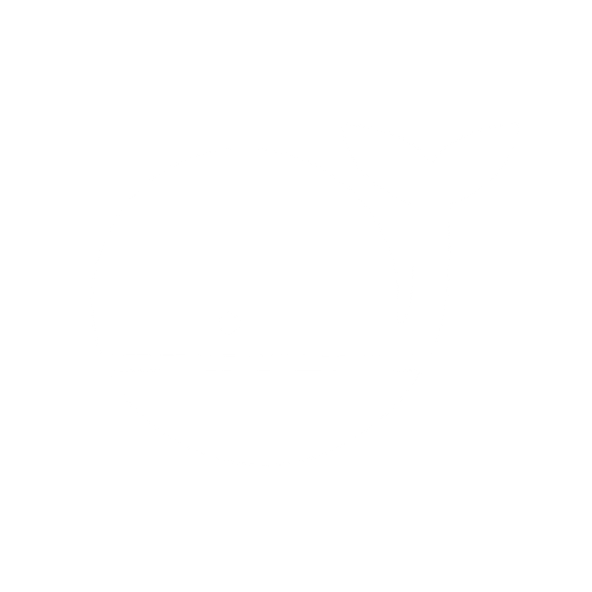 Solid Whale Logo #ffffff