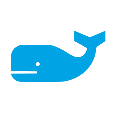 Solid Whale Logo #00a3e4