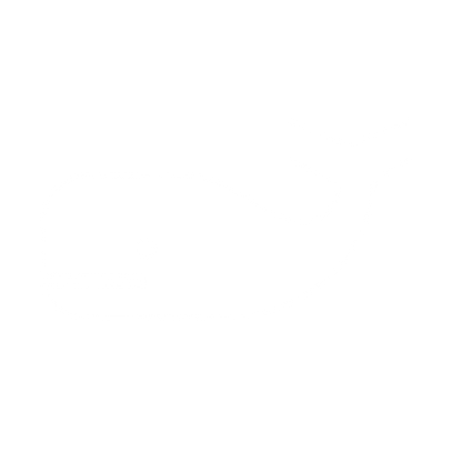 Solid Whale Logo #ffffff