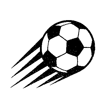 Flying Soccer Ball Logo