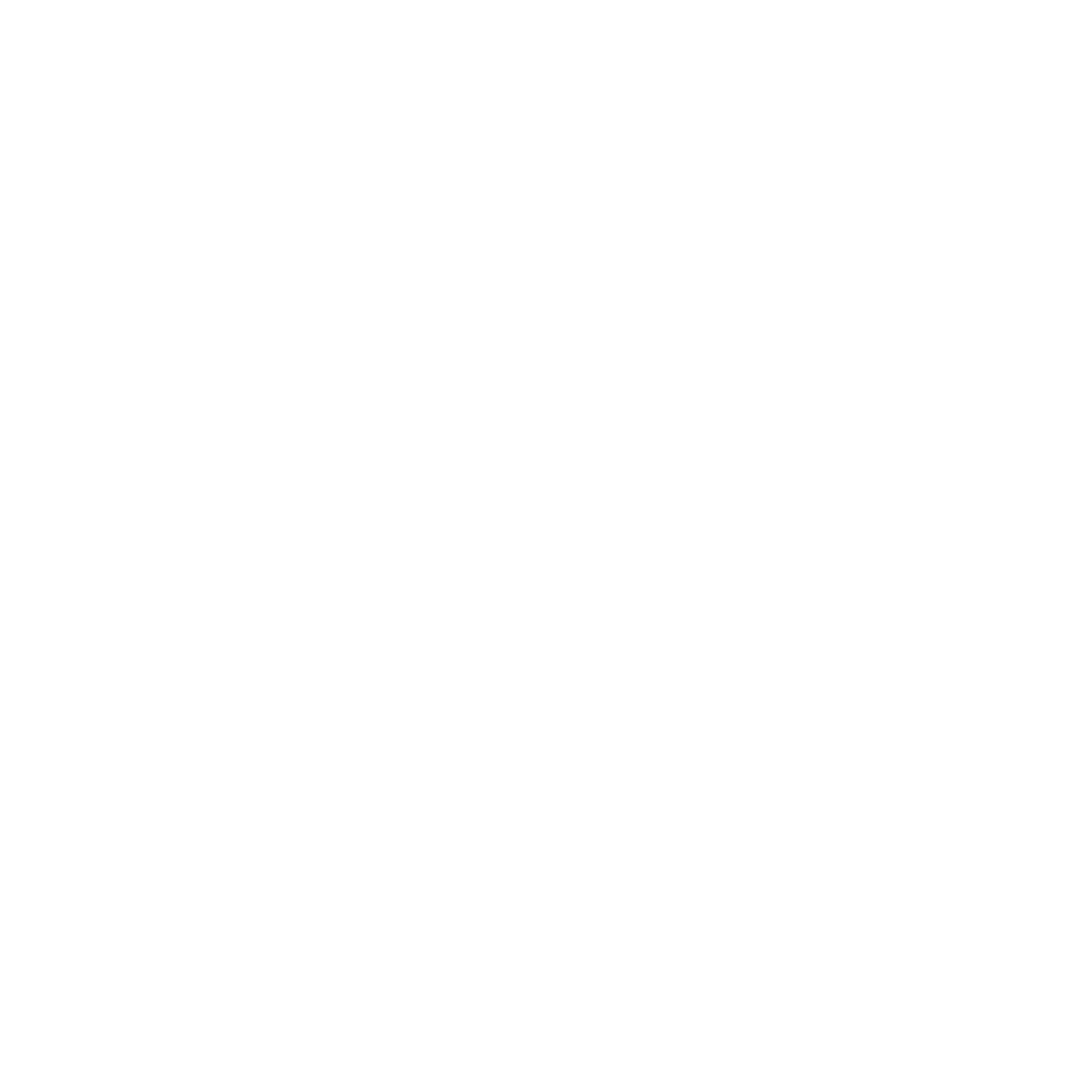 Flying Soccer Ball Logo #ffffff