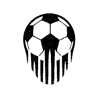 Soccer Ball Skull Logo