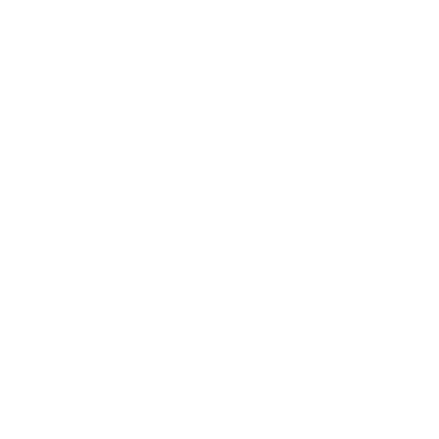 Basketball Wings Emblem Logo #ffffff