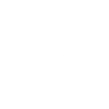 Basketball Star Logo #ffffff