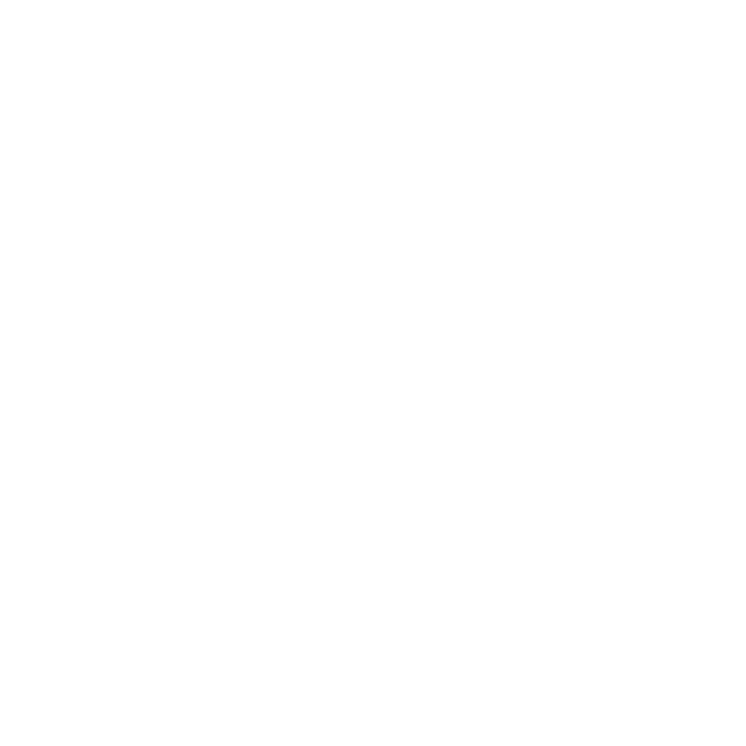 Bold Basketball Circle Logo #ffffff