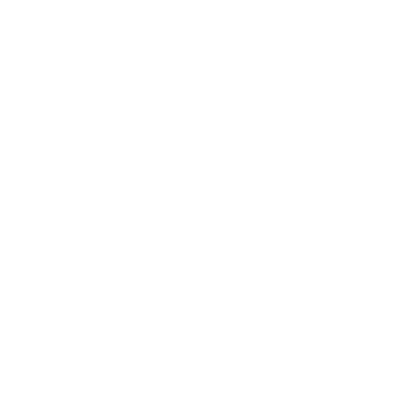Crown Tennis Racket Logo #ffffff