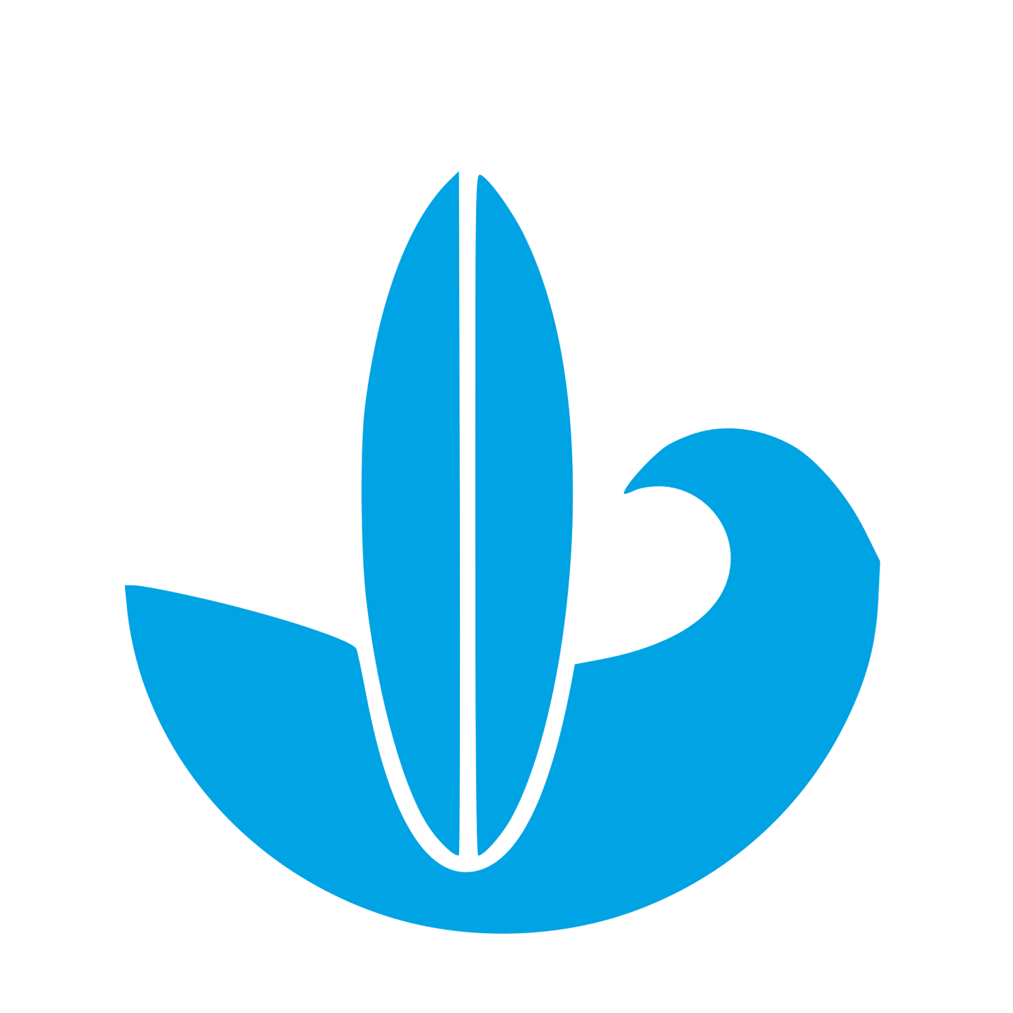 Bauhaus Surfboard Wave Logo #00a3e4