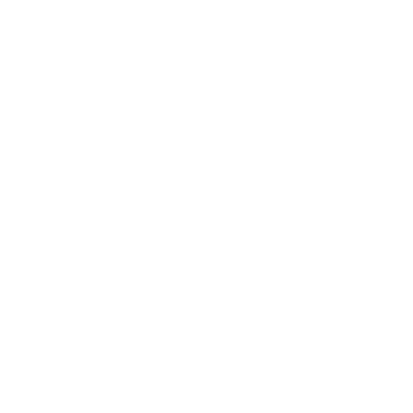 Bauhaus Surfer Logo #ffffff