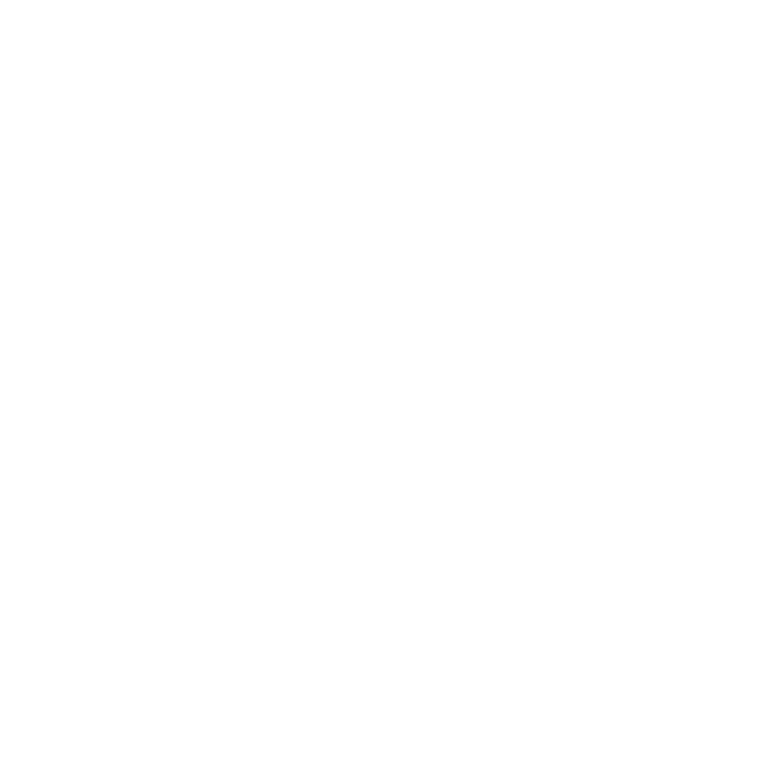 Bauhaus Surfer Logo #ffffff