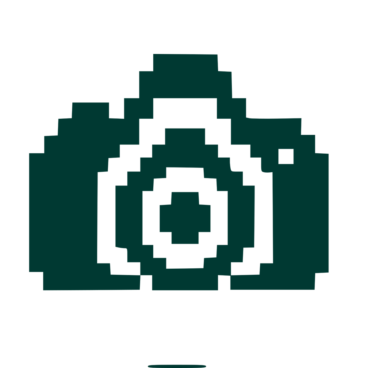 Pixel Camera Logo #003932