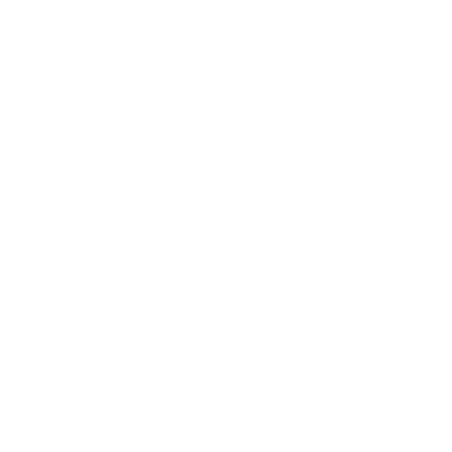Riso Print Lightning Bolt Logo #ffffff