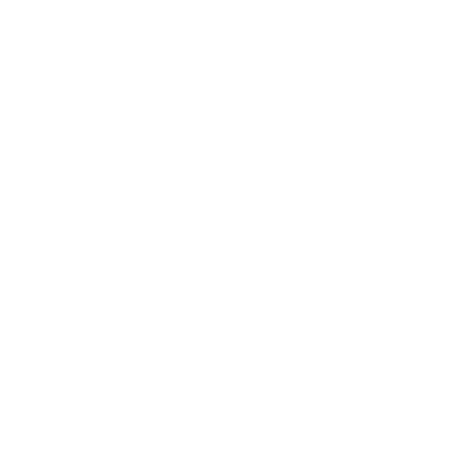 Lightning Bolt Circle Logo #ffffff