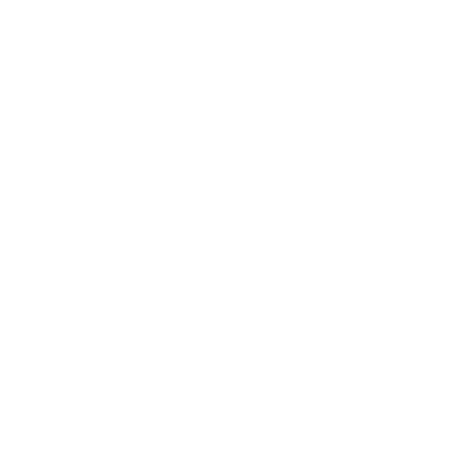 Lightning Bolt Circle Logo #ffffff