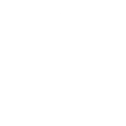 Riso Print Lightning Bolt Logo #ffffff