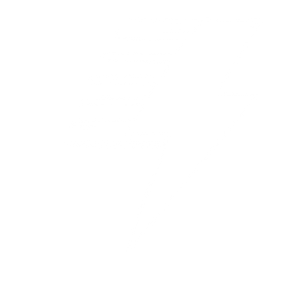 Riso Print Lightning Bolt Logo #ffffff