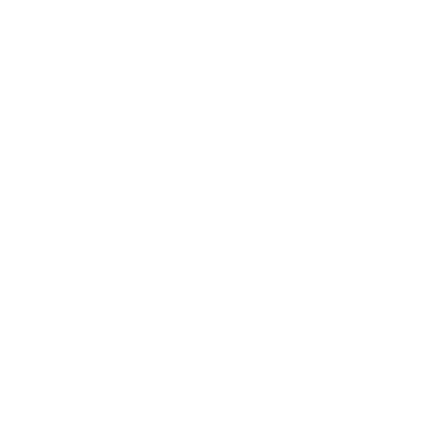Flaming Pizza Slice Logo #ffffff