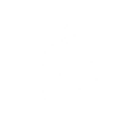 Sunflower Pictogram Logo #ffffff