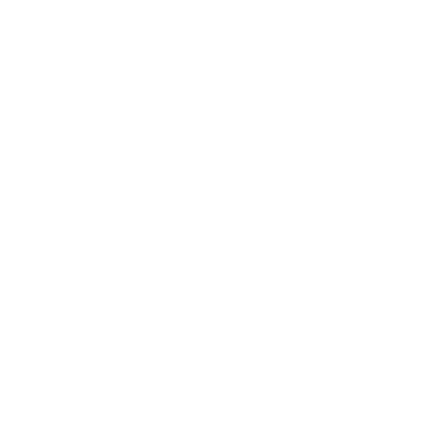 Sunflower Pictogram Logo #ffffff