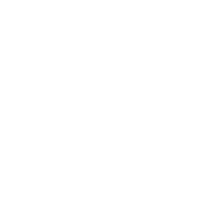 Sunflower Bloom Pictogram Logo #ffffff