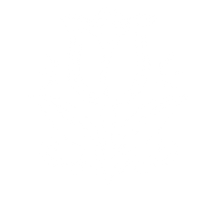 Tattoo Flash Tulip Logo #ffffff