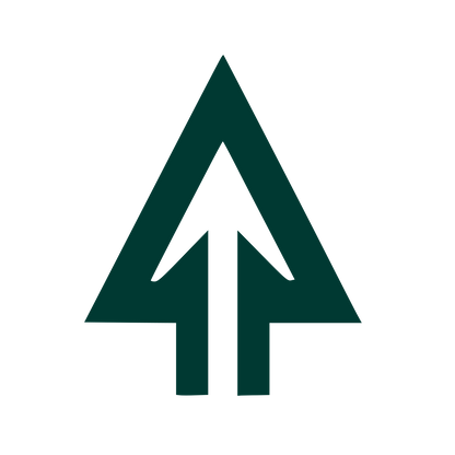 Pine Tree Arrow Logo #003932