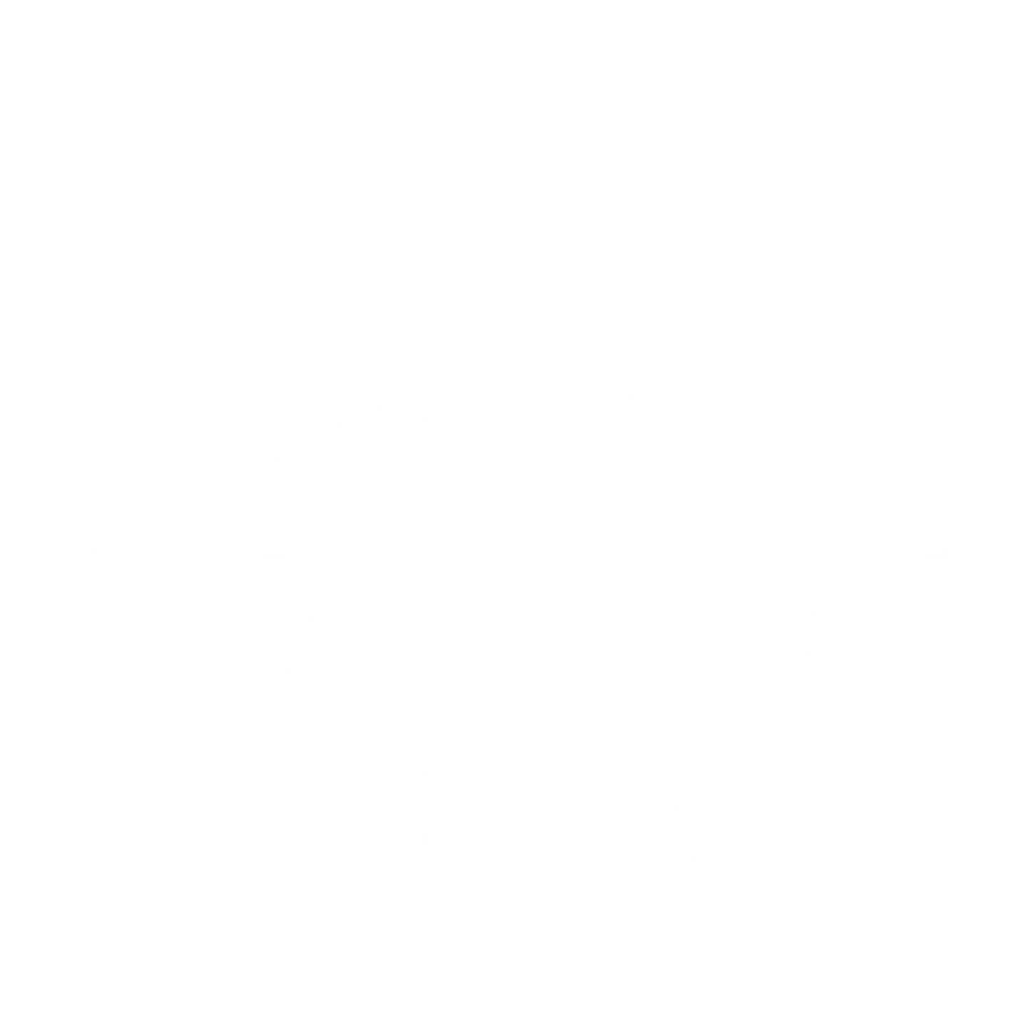 Bauhaus Airplane Logo #ffffff