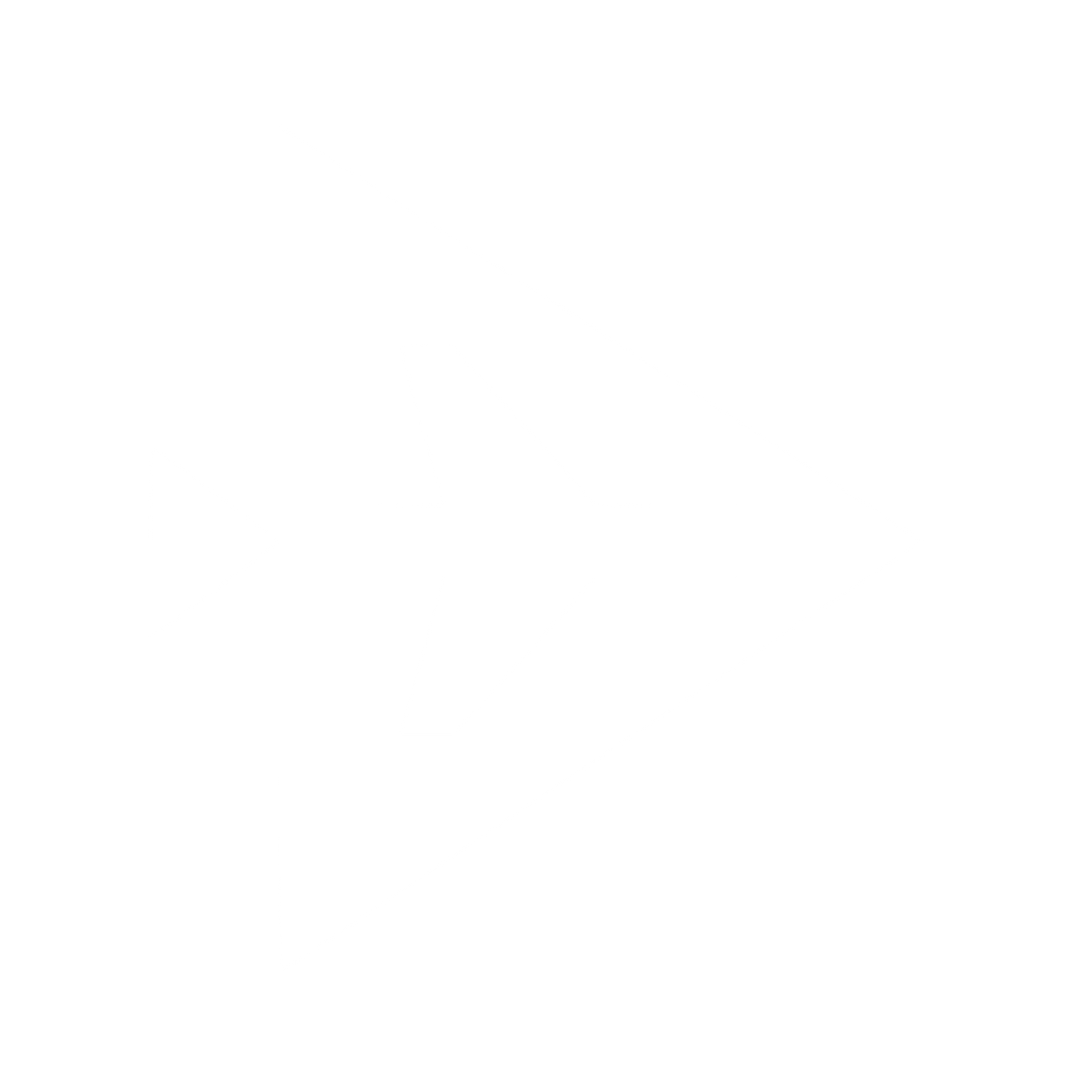 Airplane Triangle Emblem Logo #ffffff